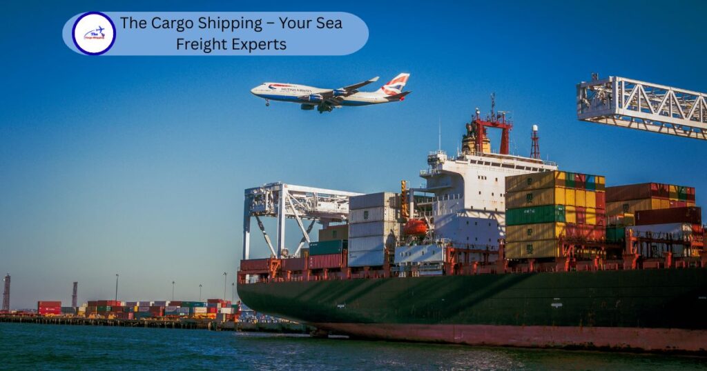 The Cargo Shipping – Your Sea Freight Experts