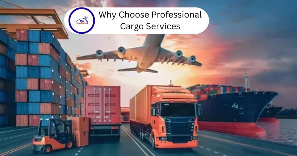 Why Choose Professional Cargo Services