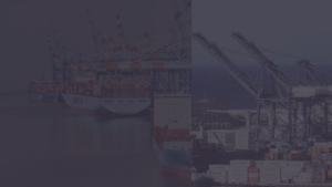 Reliable freight services to Czechia