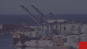 Comprehensive cargo services from Dubai to Hungary.