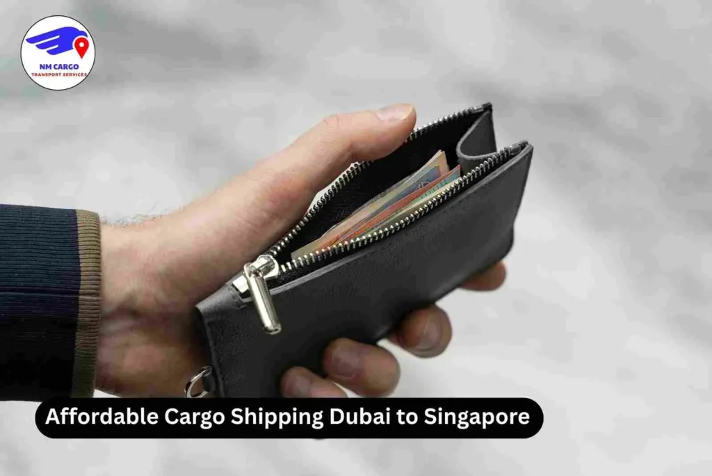 Affordable Cargo Shipping Dubai to Singapore