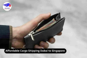 Affordable Cargo Shipping Dubai to Singapore