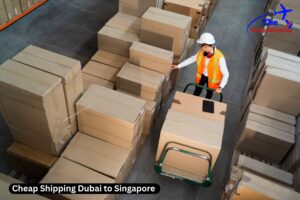 Cheap Shipping Dubai to Singapore ​