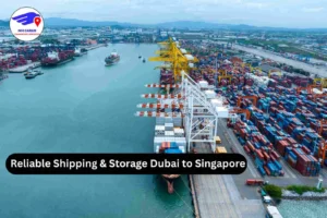 Shipping Dubai to Singapore