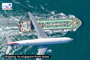 Seamless Cargo Shipping from Dubai to Singapore​