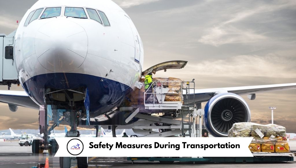 Safety Measures During Transportation